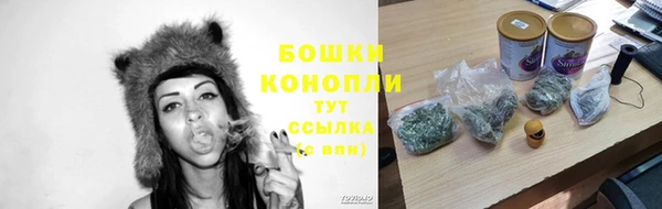 мдпв Бронницы