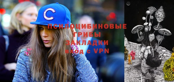 mix Бородино