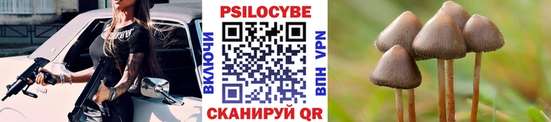 Псилоцибиновые грибы GOLDEN TEACHER  купить наркотики сайты  Новоузенск 